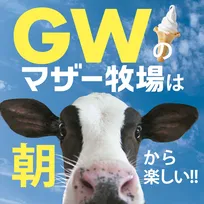 GWはマザー牧場で朝活！ひつじとネモフィラに癒されよう