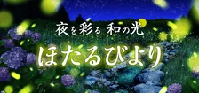 夜を彩る和の光「ほたるびより」開催!よみうりランドが送る新感覚イベント
