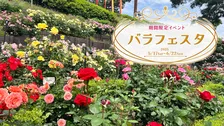 西武園ゆうえんち『バラフェスタ』開催!昭和100年大祭典と共に華やぐ春を堪能しよう