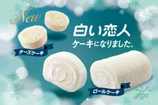 新商品「白い恋人チーズケーキ」登場！北海道物産展で先行販売