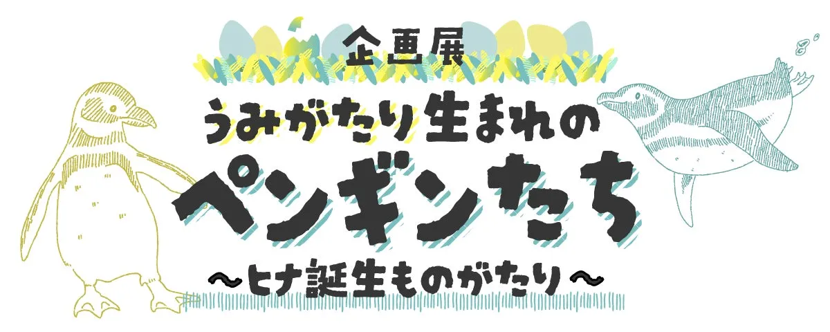 うみがたりペンギン企画展示の広告ビジュアル