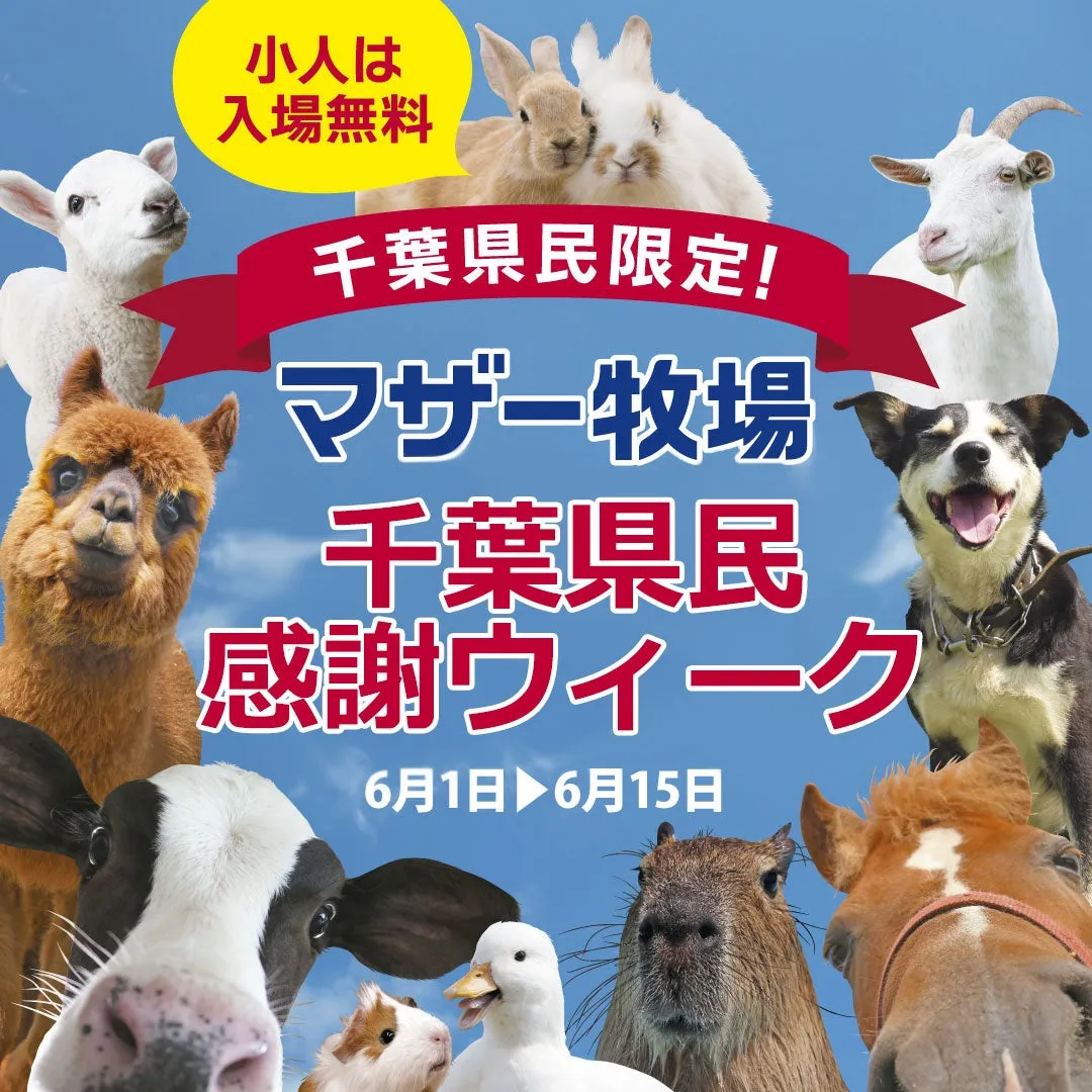 千葉県民必見！マザー牧場「千葉県民感謝ウィーク」でお得に楽しもう