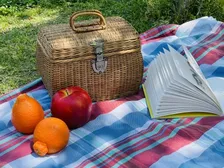 暖かくなったら最適!ピクニックの魅力を探る【1000人アンケート】