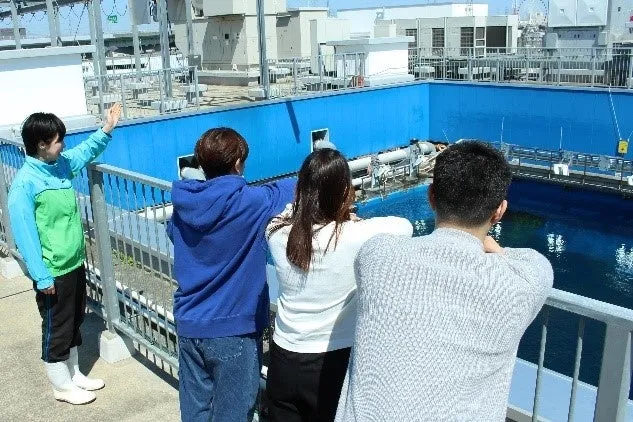 仙台うみの杜水族館でタンクを見学する人々