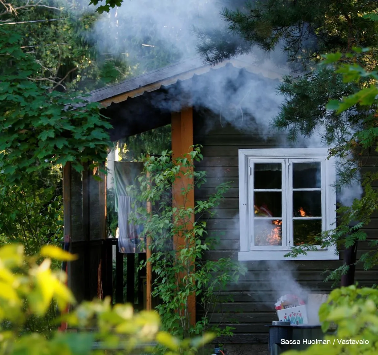 北欧スタイルの小屋と緑豊かな自然