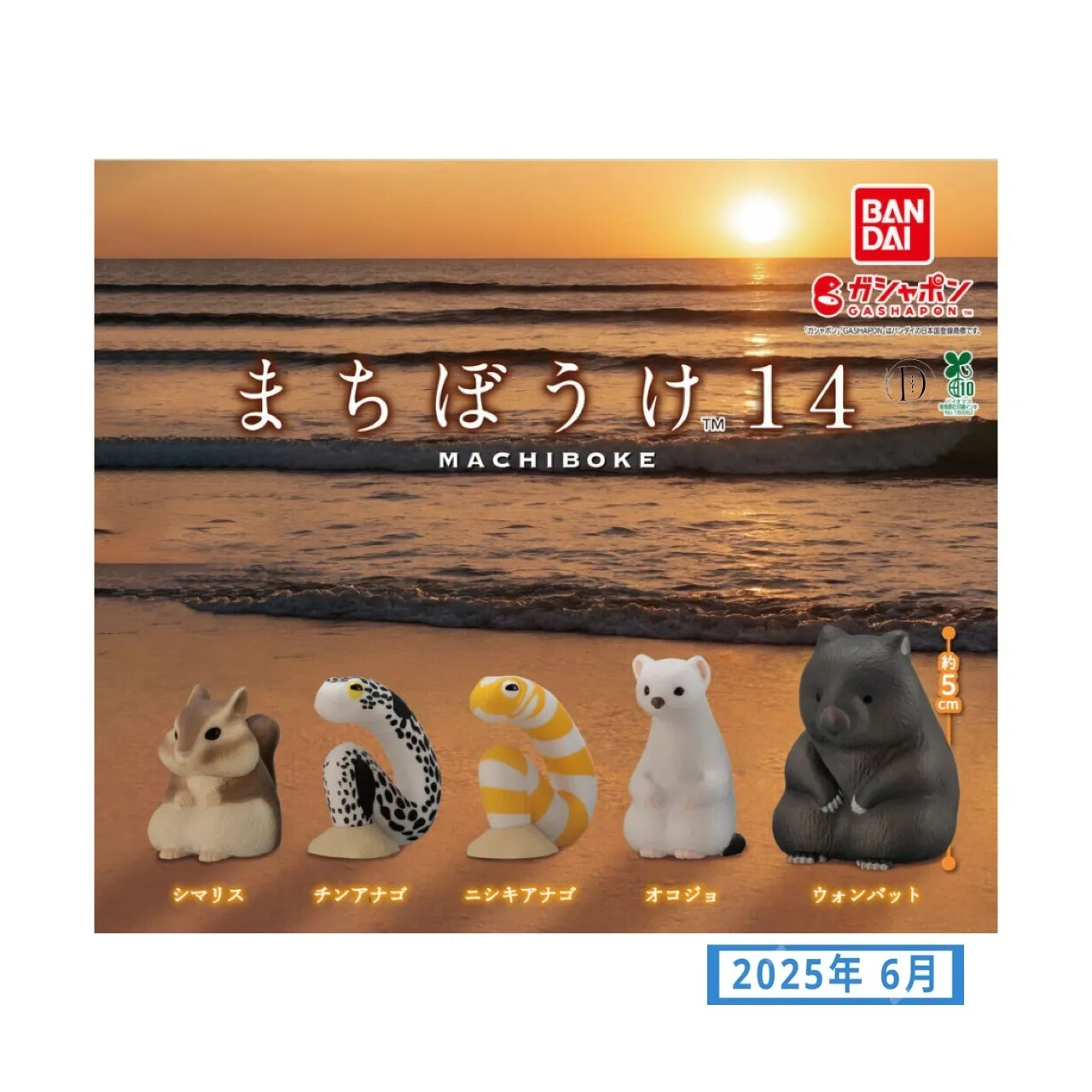 まちぼうけ14(6月3週目)