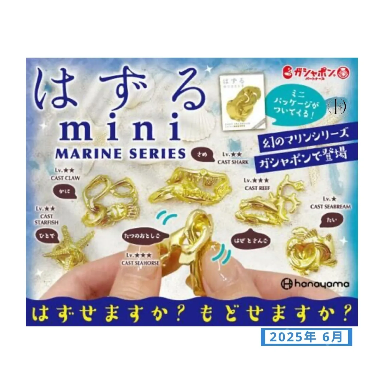 はずるmini MARINE SERIES(6月3週目)