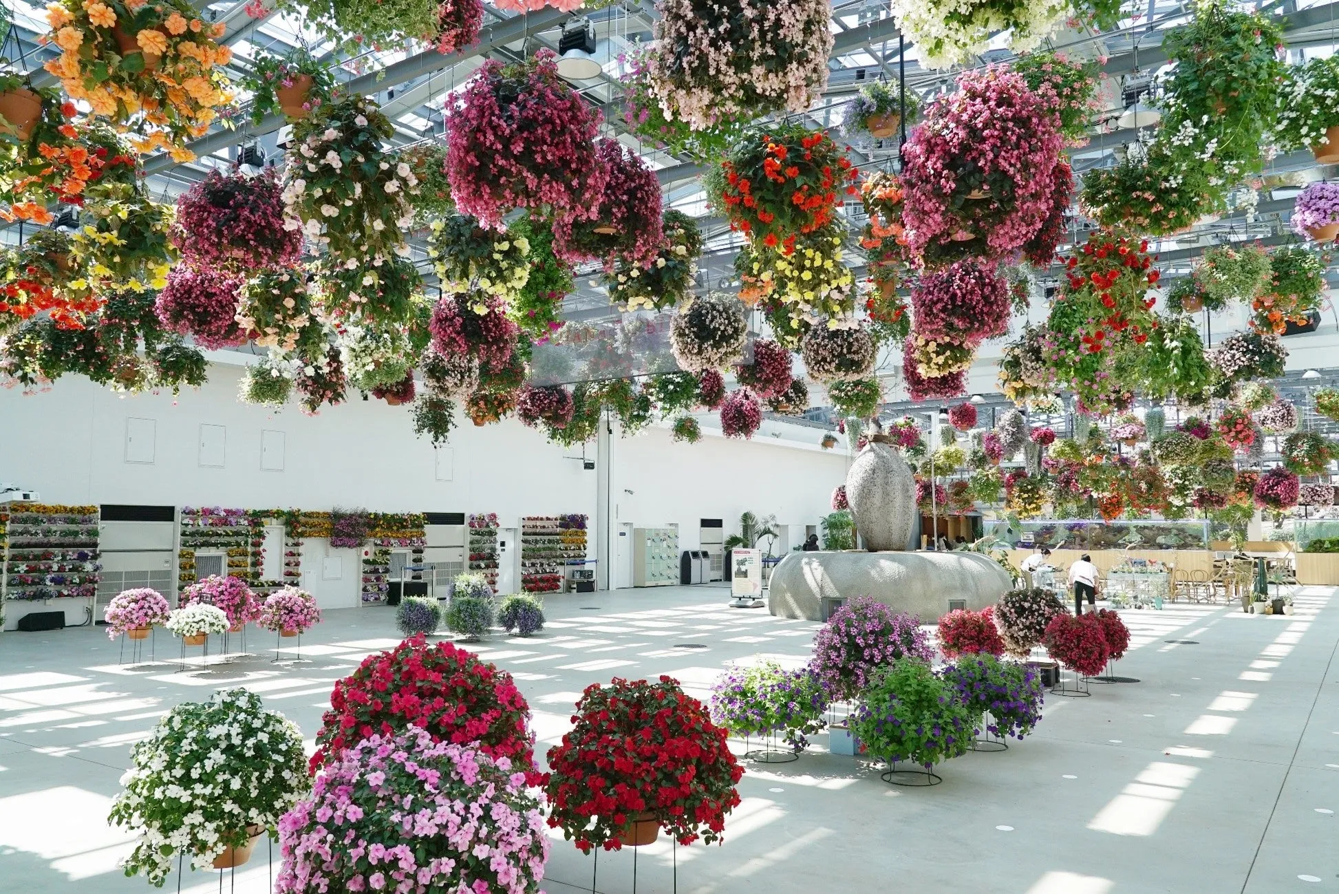 室内に吊るされた色とりどりの花々