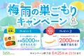 雨の日の強い味方！nosh（ナッシュ）で5,000円OFF＆ギフト券が当たる梅...