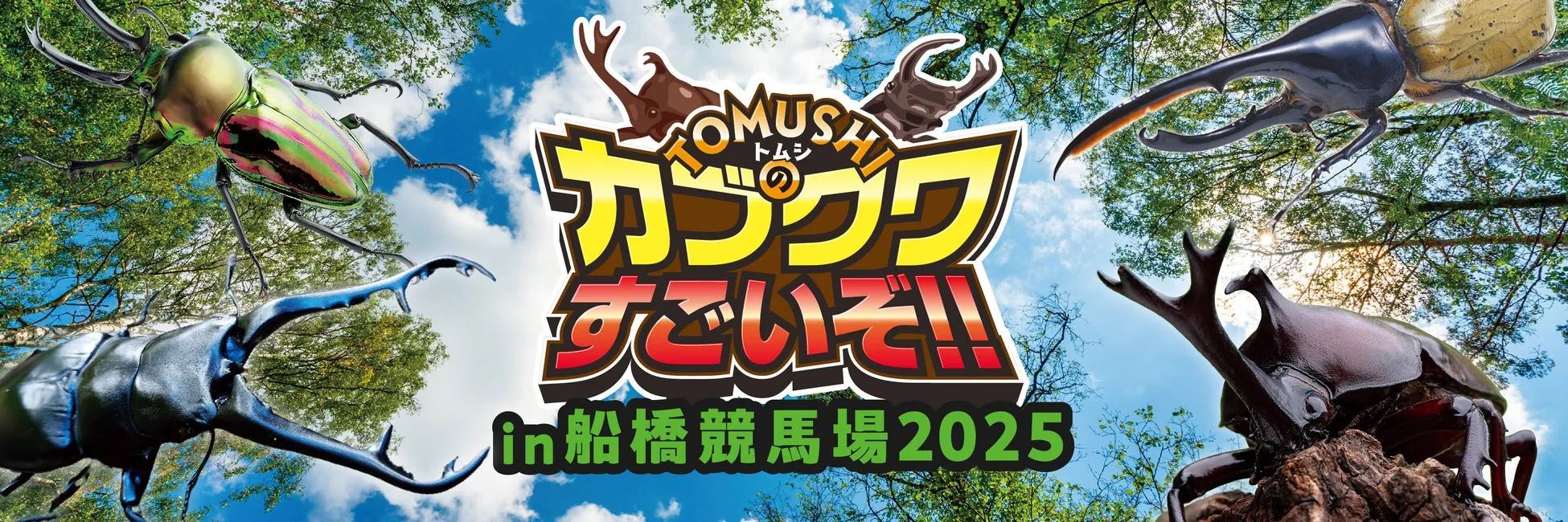 子どもも大人も夢中！TOMUSHIのカブクワ祭りin船橋競馬場2025