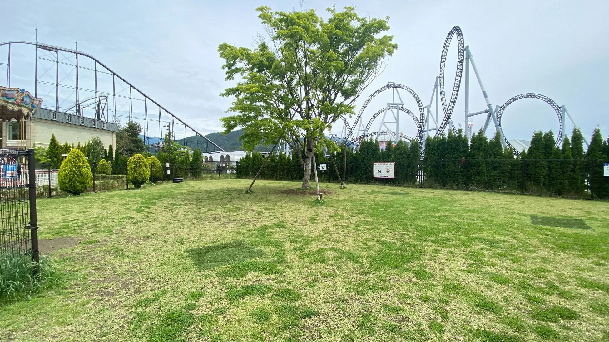 富士急ハイランドのドッグランとジェットコースター