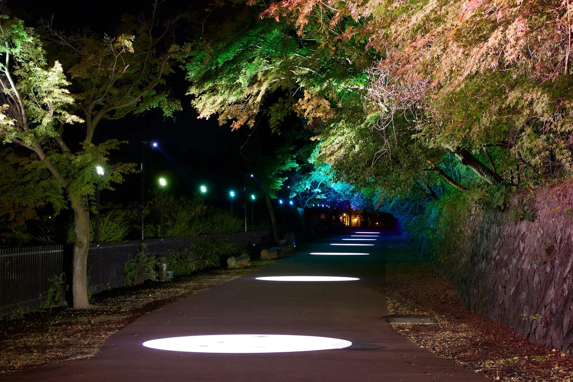 ライトアップされたムーミン谷の夜の道