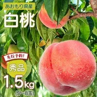 先行予約 あかつき白桃(7月下旬発送)