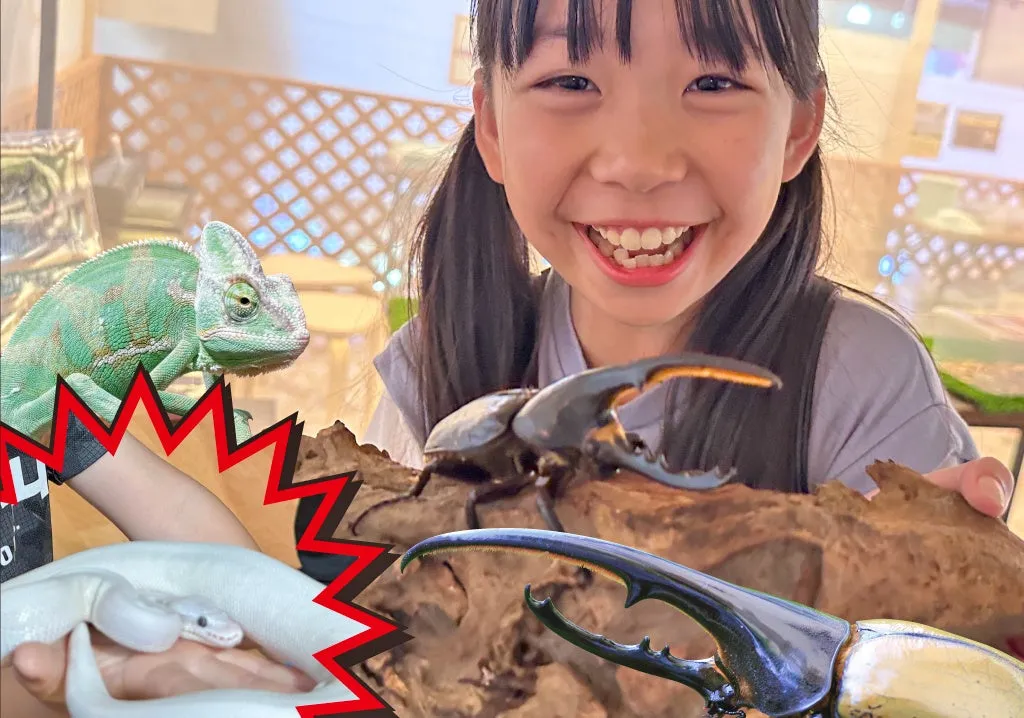 マザー牧場夏フェスで昆虫とふれあう女の子
