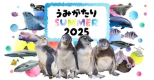 上越市立水族博物館「うみがたりSUMMER 2025」開催！
