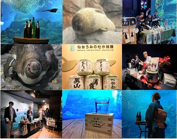 仙台うみの杜水族館の日本酒イベント風景