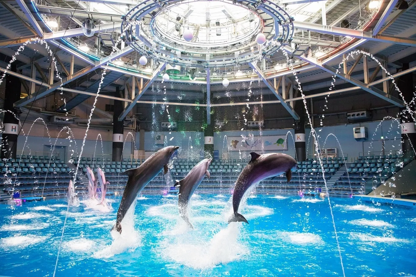 イルカショーと噴水が映えるプールエリア