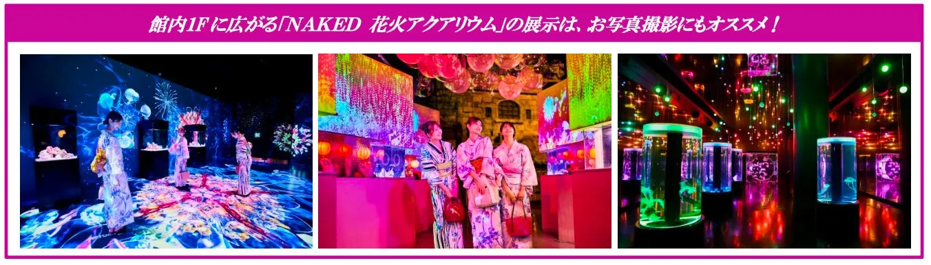 マクセル アクアパーク品川でのデジタルアート展示とカラフルな水槽