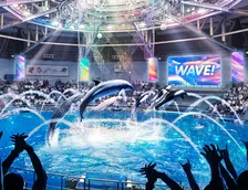 マクセル アクアパーク品川のショーが今秋リニューアル！