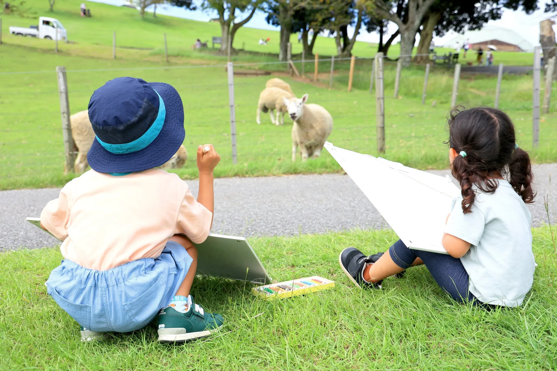 マザー牧場で写生をする小学生たち