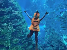 海の生き物たちもハロウィンを満喫！上越市立水族博物館「うみがたり」秋のイベント情報