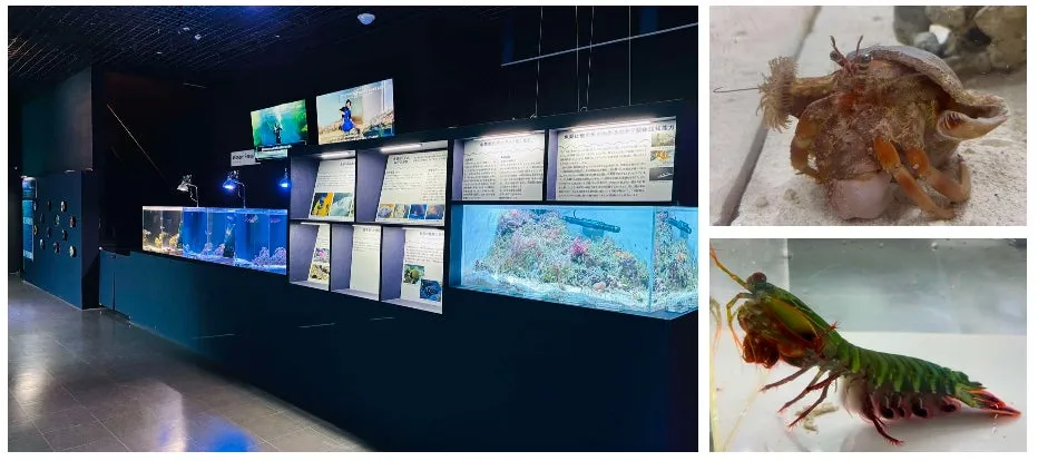 都市型水族館で学ぶ！「マクセル アクアパーク品川」サステナウィークイベント