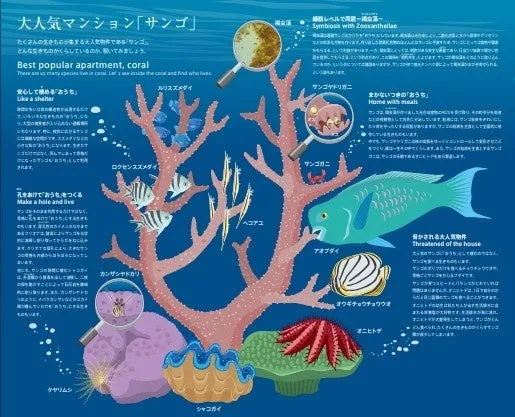 サンゴ礁と海洋生物のイラスト