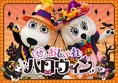 よみうりランドは”おしゃれハロウィン”を開催！お気に入りの仮装で楽しもう