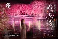 アートアクアリウム美術館で楽しむ春のジェラートと金魚アート