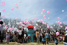 桜と楽しむ「OHANAMIごかマルシェ」開催!茨城県五霞町で春を満喫しよう