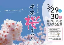 満開までもうすぐ！1,000本の桜の下で楽しむ「舎人公園千本桜まつり」
