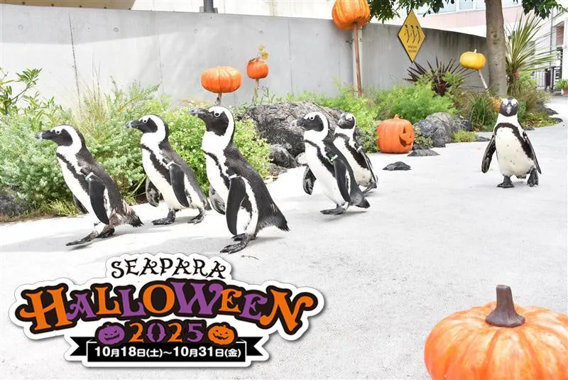 横浜・八景島シーパラダイスで楽しむ2025年ハロウィンイベント「SEAPARA...