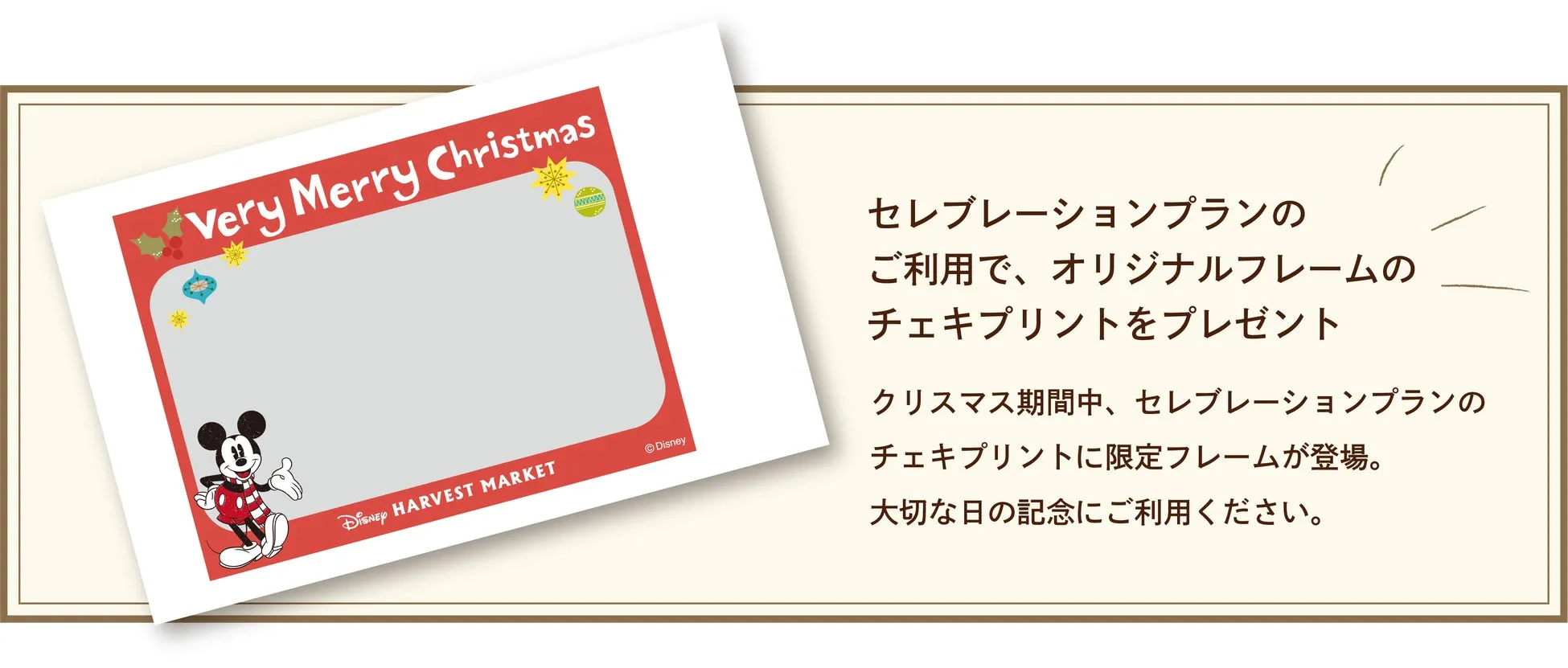 セレブレーションプランにチェキ