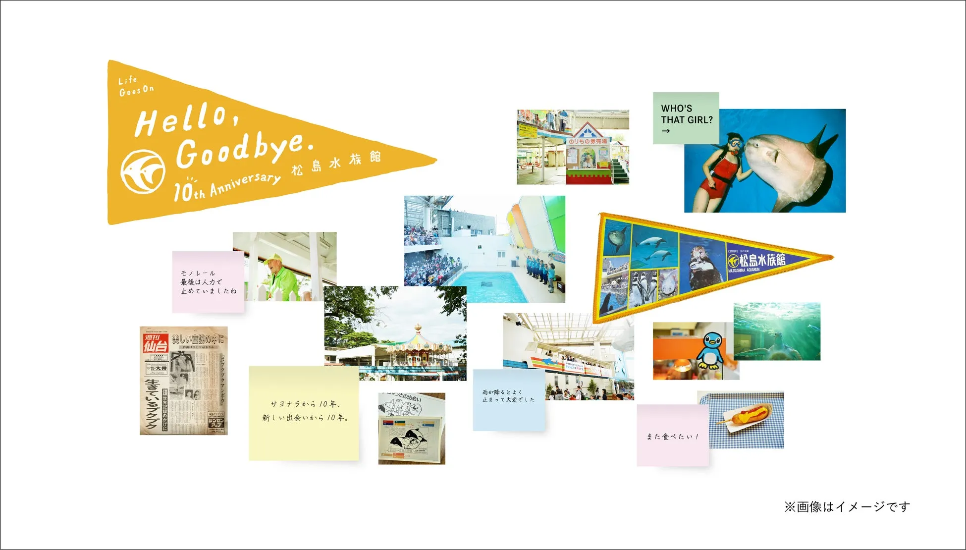 松島水族館展のコラージュ画像