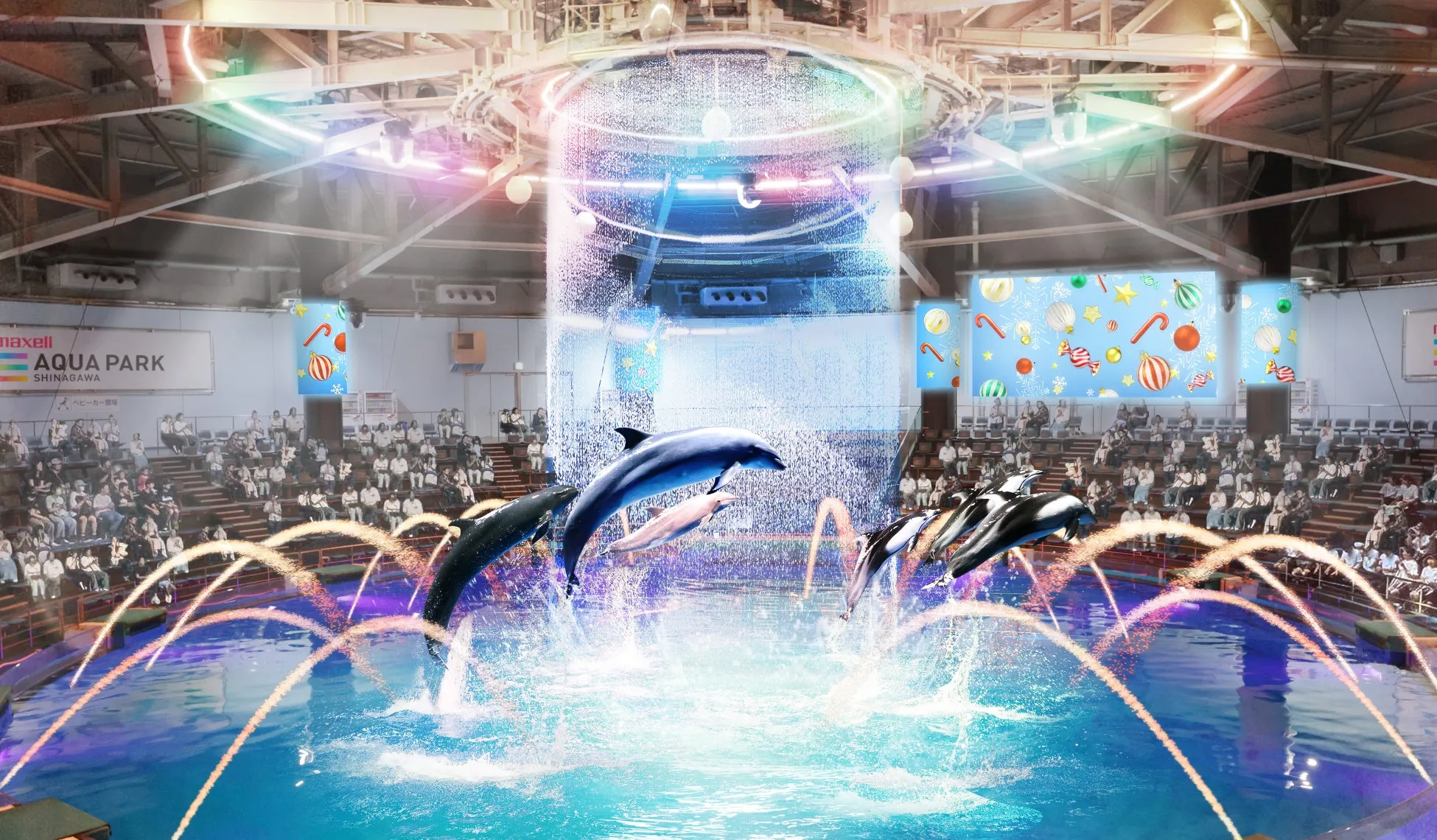 アクアパークのイルカショー
