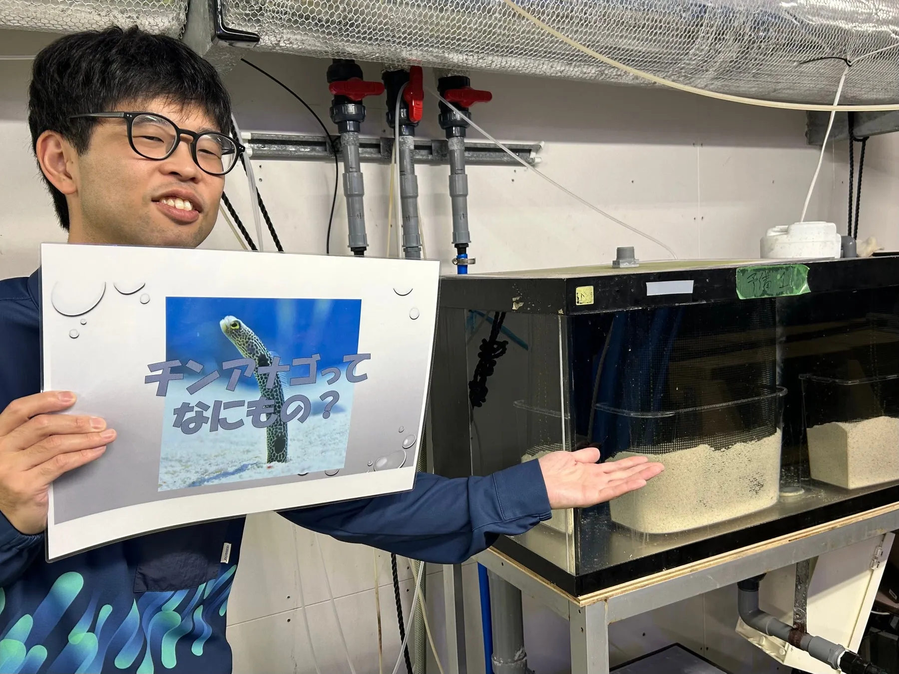 チンアナゴについて説明する水族館スタッフ