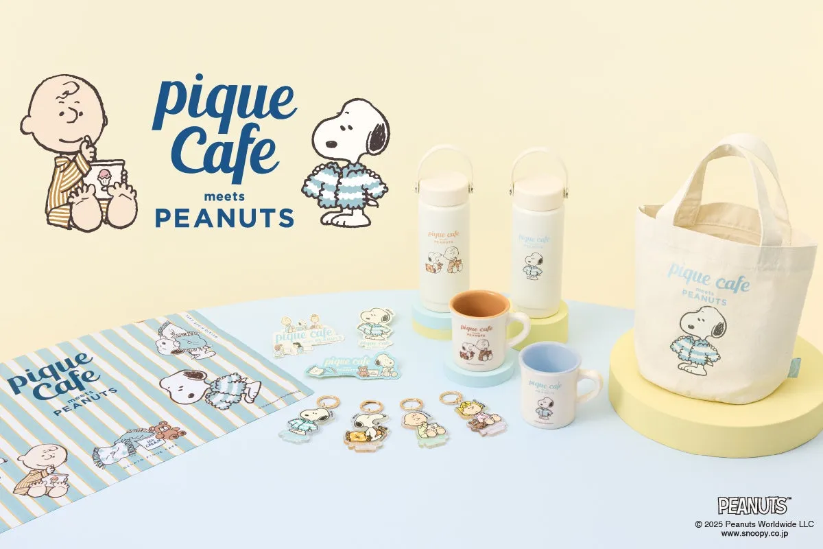 PEANUTSの仲間たちの限定アート雑貨商品イメージ