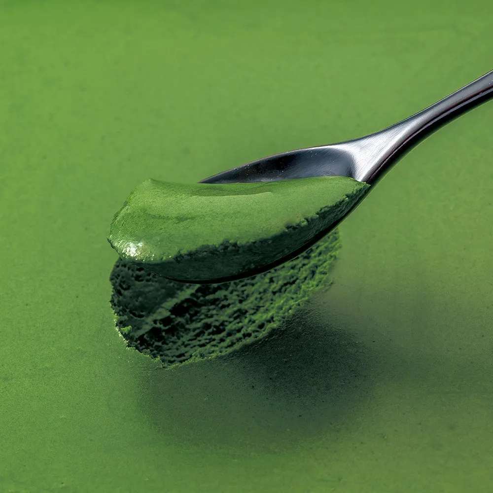 4層目:従来比3倍の濃厚なお濃茶ショコラムース