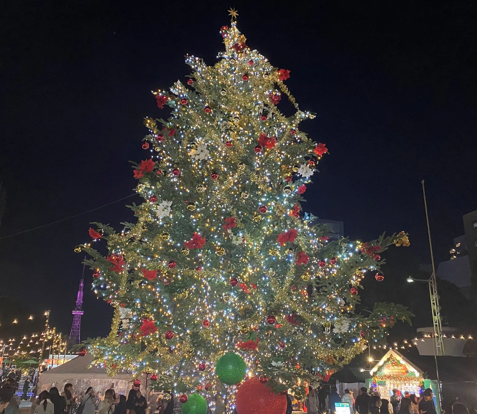 会場の生のモミの木クリスマスツリーとイルミネーション