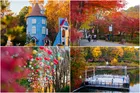 3連休は紅葉が見頃！ムーミンバレーパークで北欧アートと幻想空間を満喫しよう