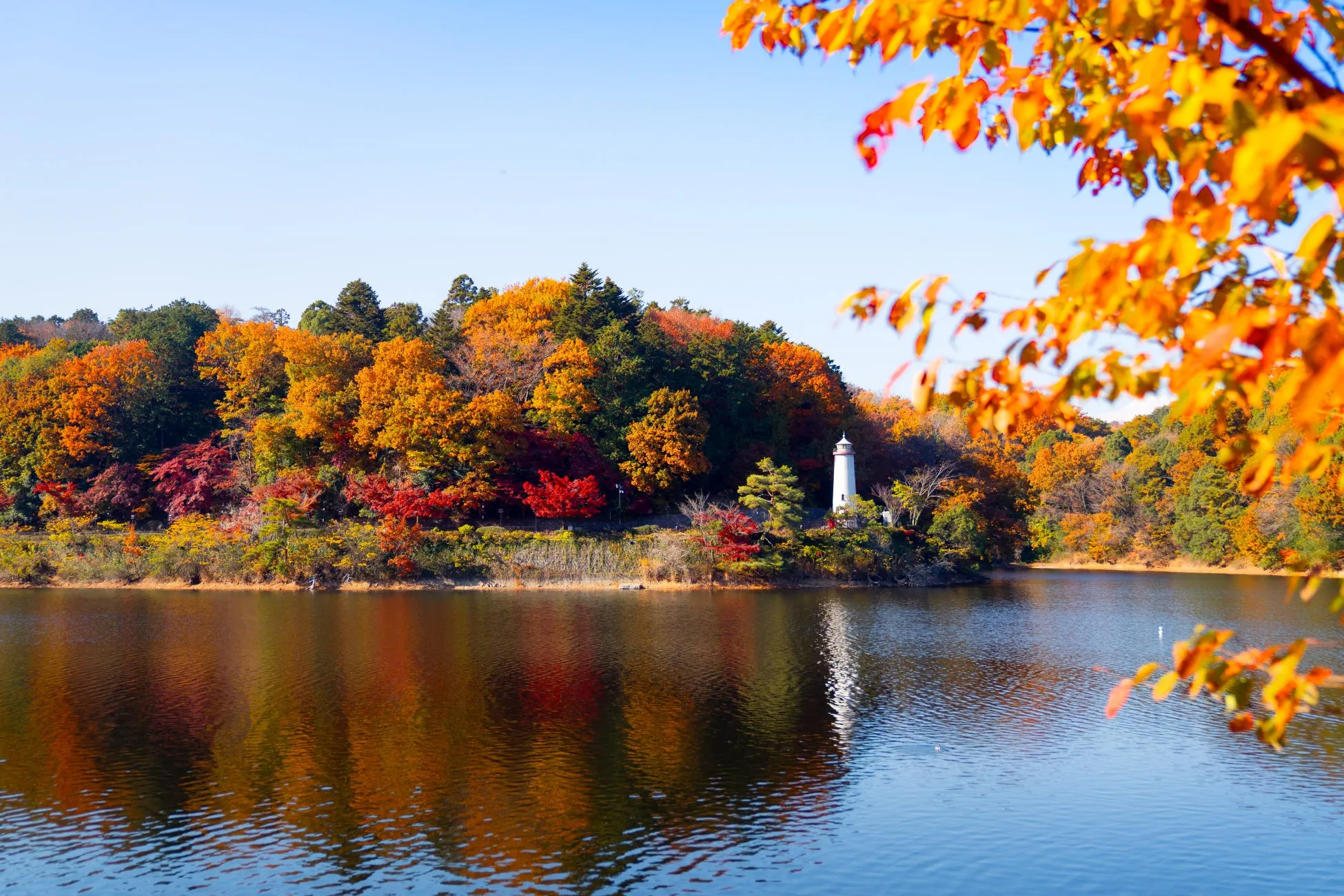 ムーミンバレーパークの紅葉と湖