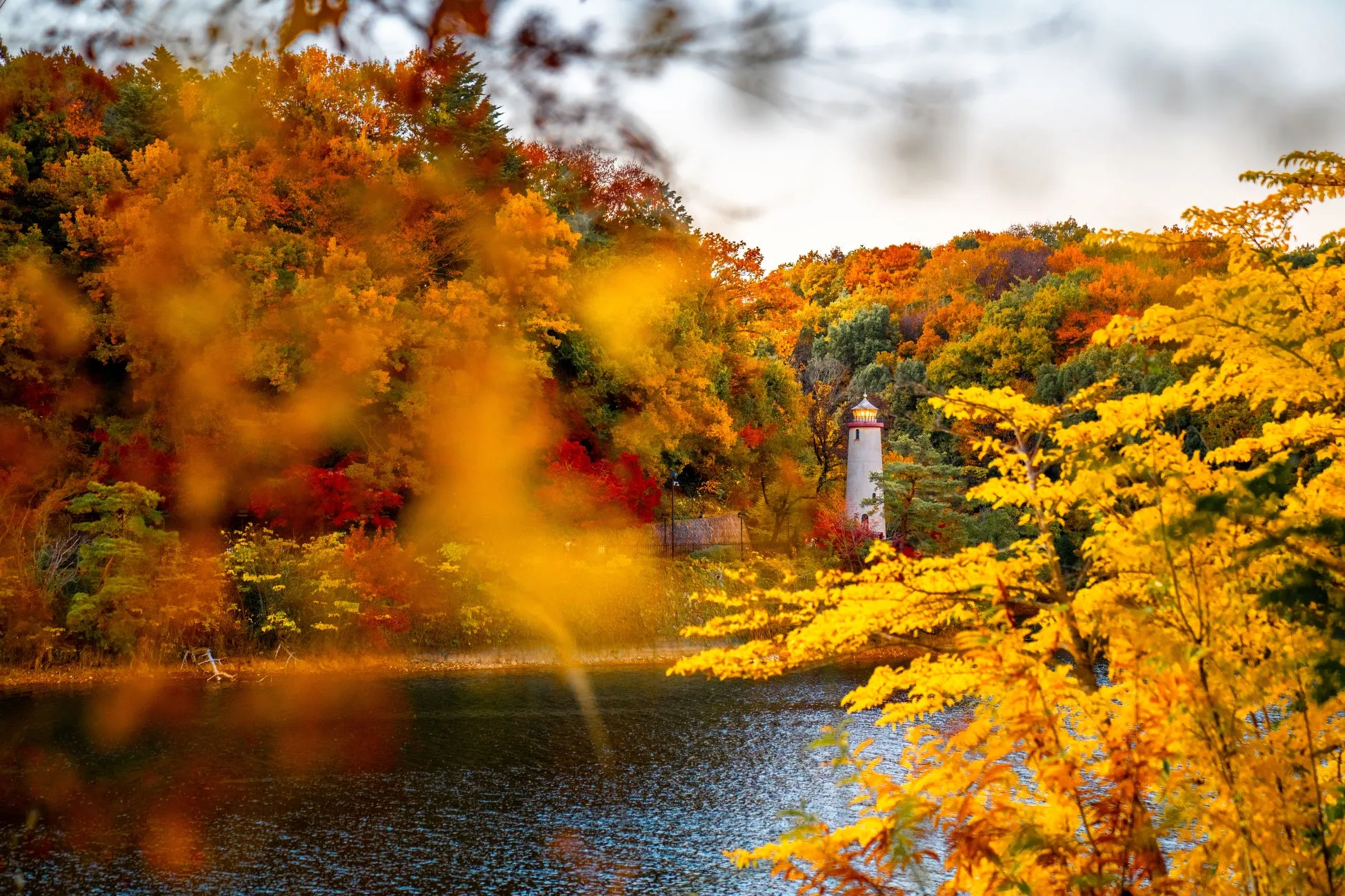 ムーミンバレーパークの紅葉と湖