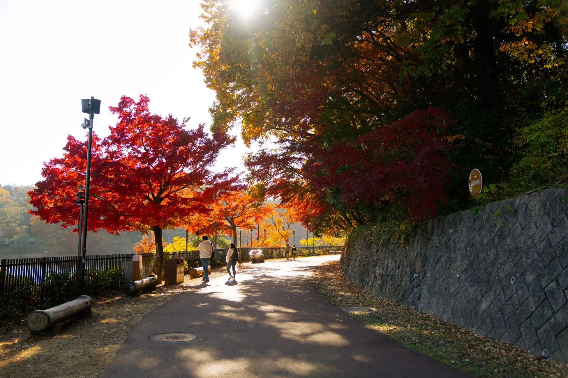 紅葉が綺麗なムーミンバレーパークの小道
