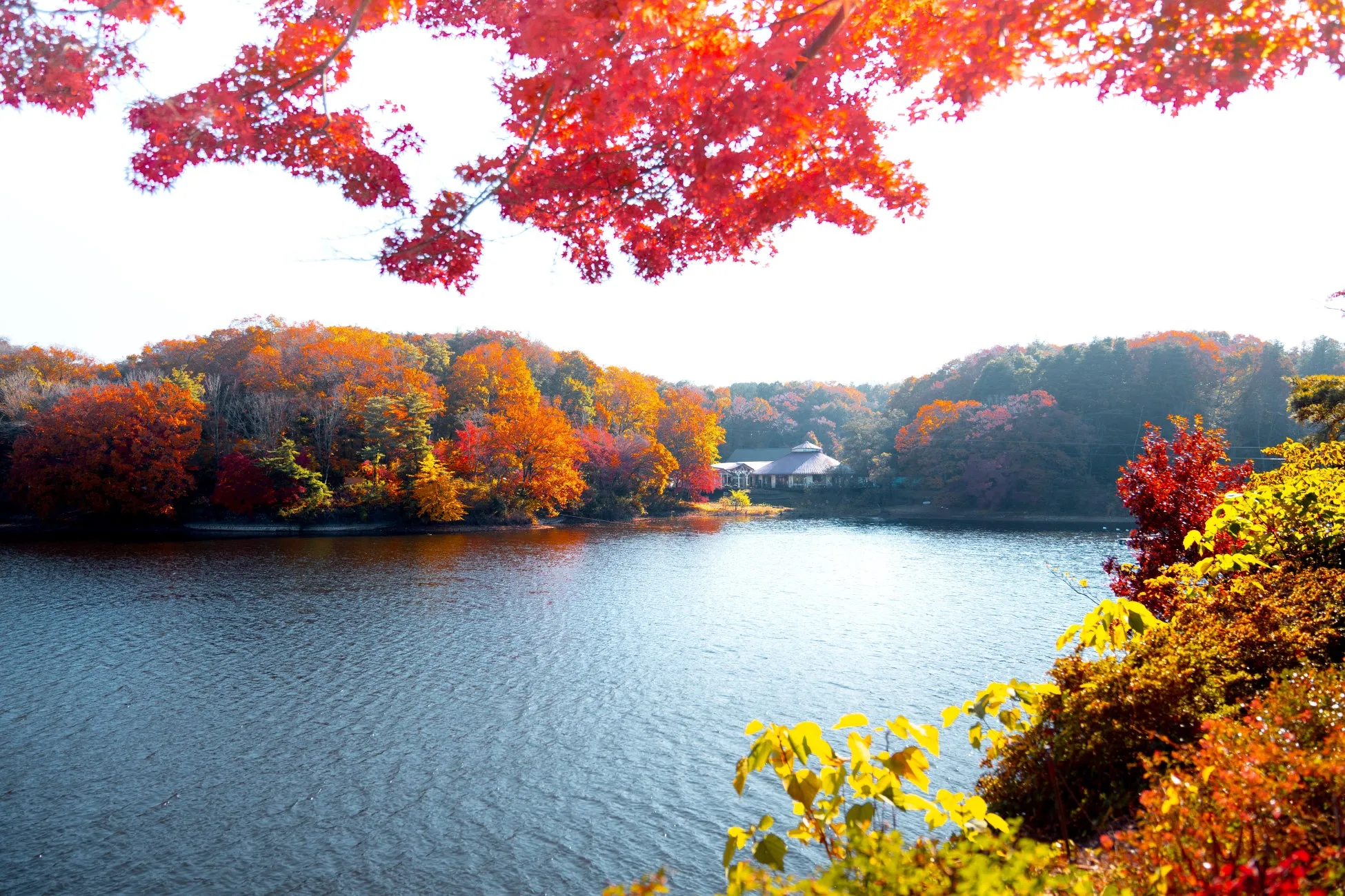 ムーミンバレーパークの紅葉と湖