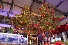 宙に浮かぶツリーシャンデリアと3,000本のアイスチューリップが彩る！HANA・BIYORIクリスマス2025