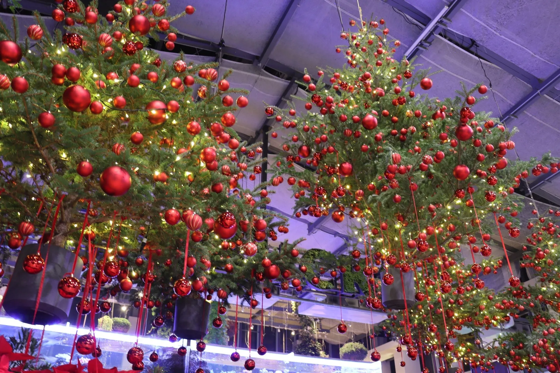 宙に浮いたクリスマスツリーが赤いオーナメントで飾られている