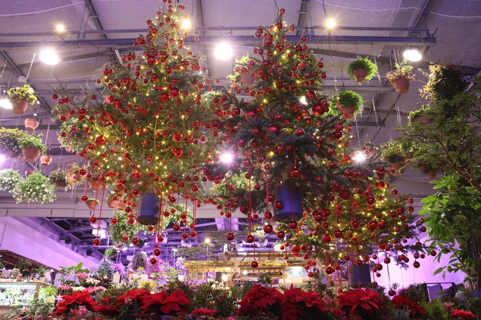 宙に浮いたクリスマスツリー