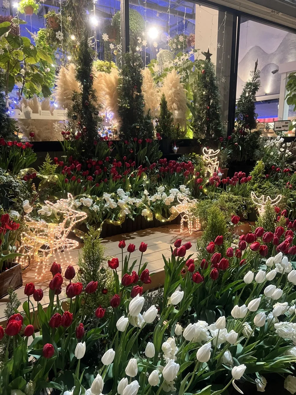 HANA・BIYORIのクリスマスフラワーディスプレイ