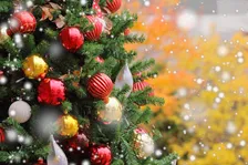 まだ間に合うクリスマスステイ！リロホテル＆リゾーツの限定プランをご紹介