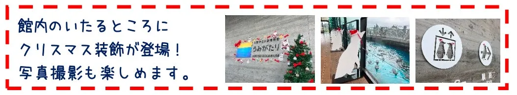 上越市立水族博物館 うみがたりのクリスマス装飾